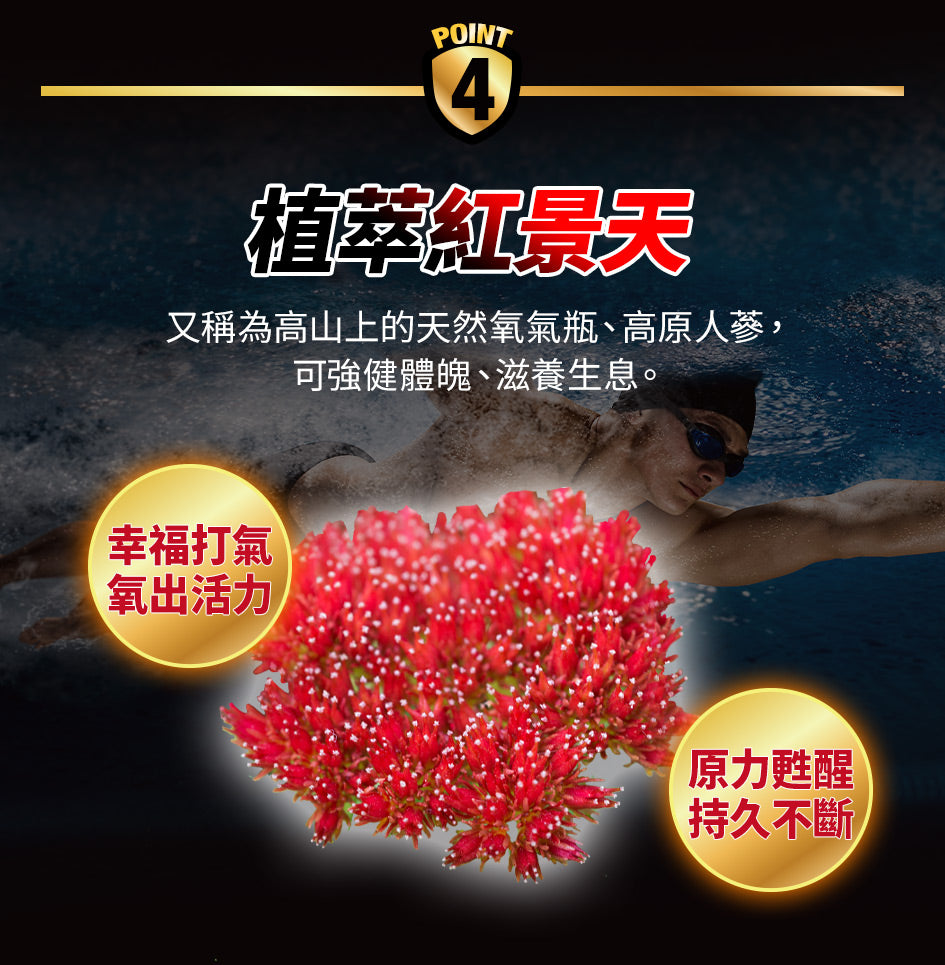 船井6X活力玛卡王EX40颗入