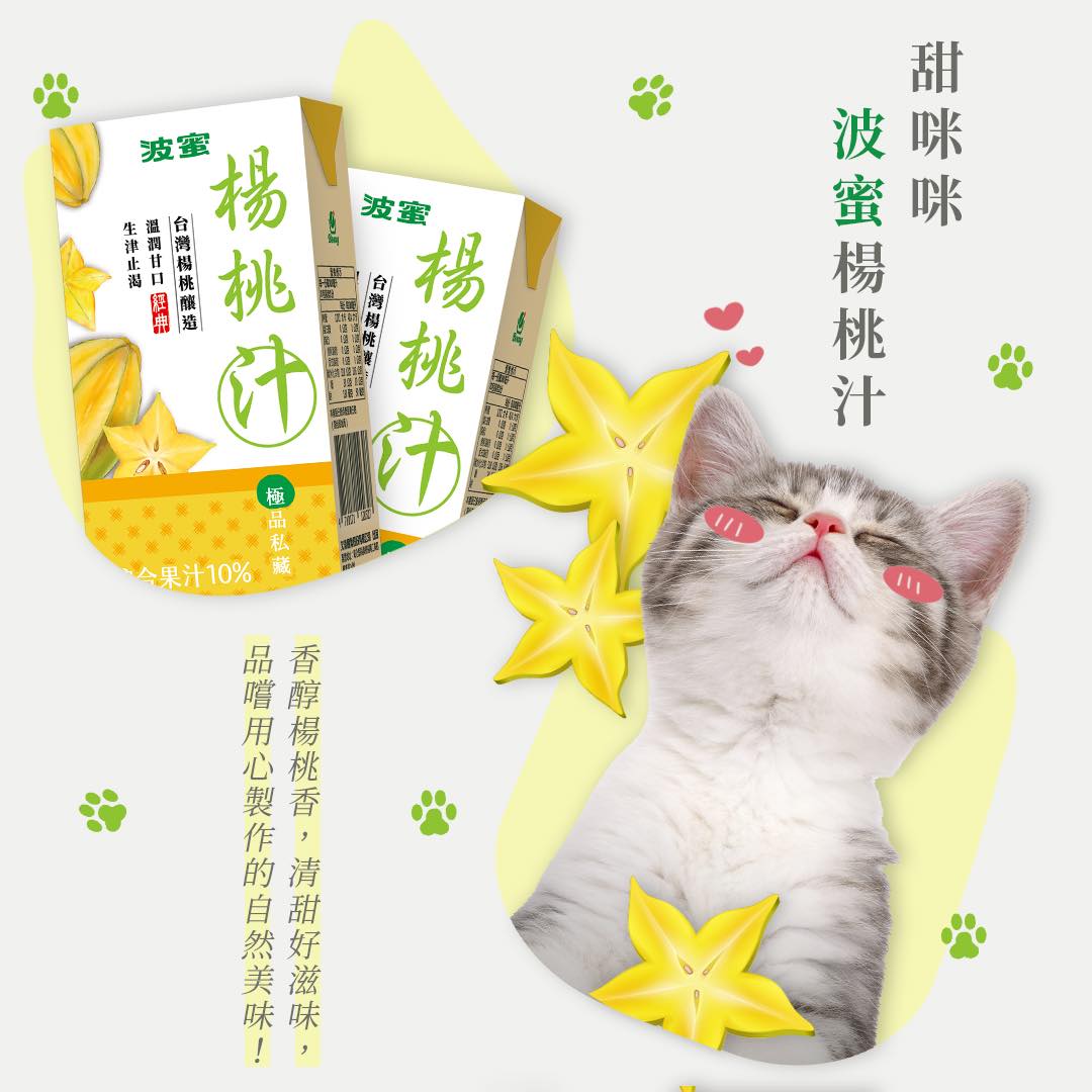 波蜜楊桃汁 - 300ml