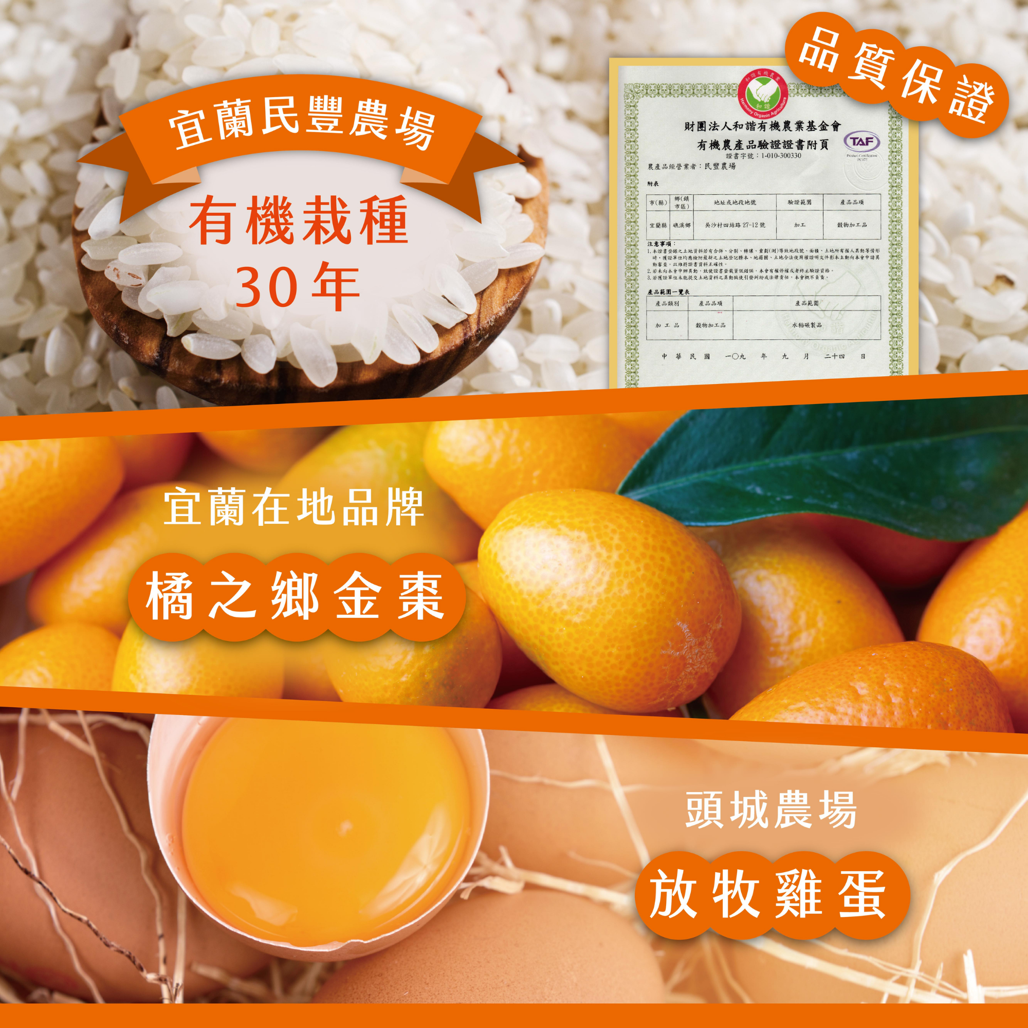 宜兰劲厚饼-橘之乡金枣10入装