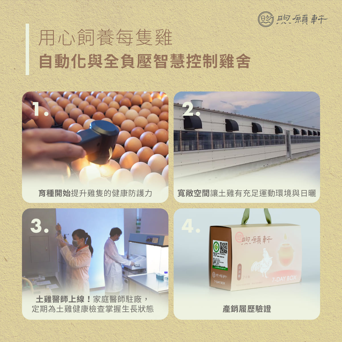煦愿轩淬浦鸡姜味常温7日组(姜味滴鸡精) - 420ml