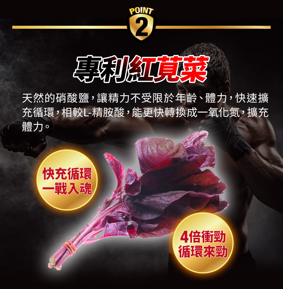 船井6X活力瑪卡王EX40顆入