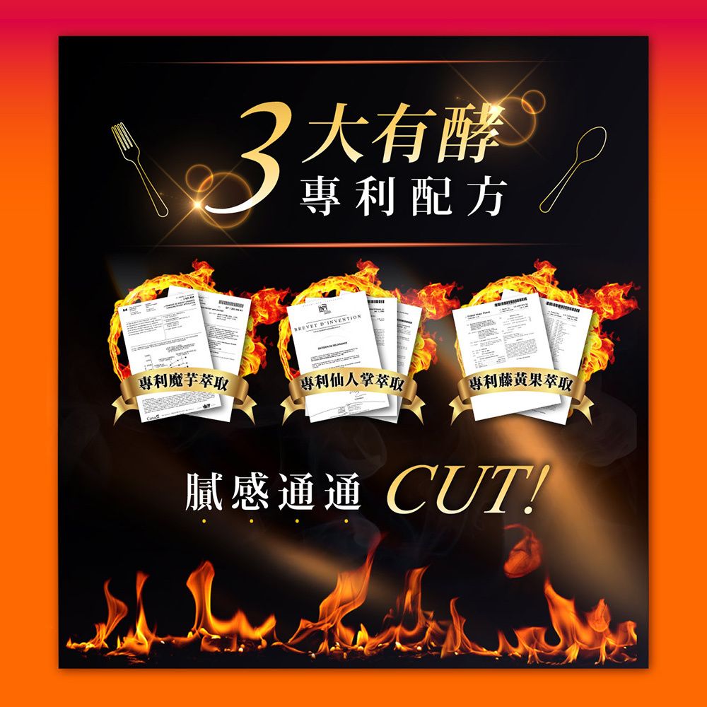 SIMPLY 新普利 食事油切酵素錠EX(30錠/盒)