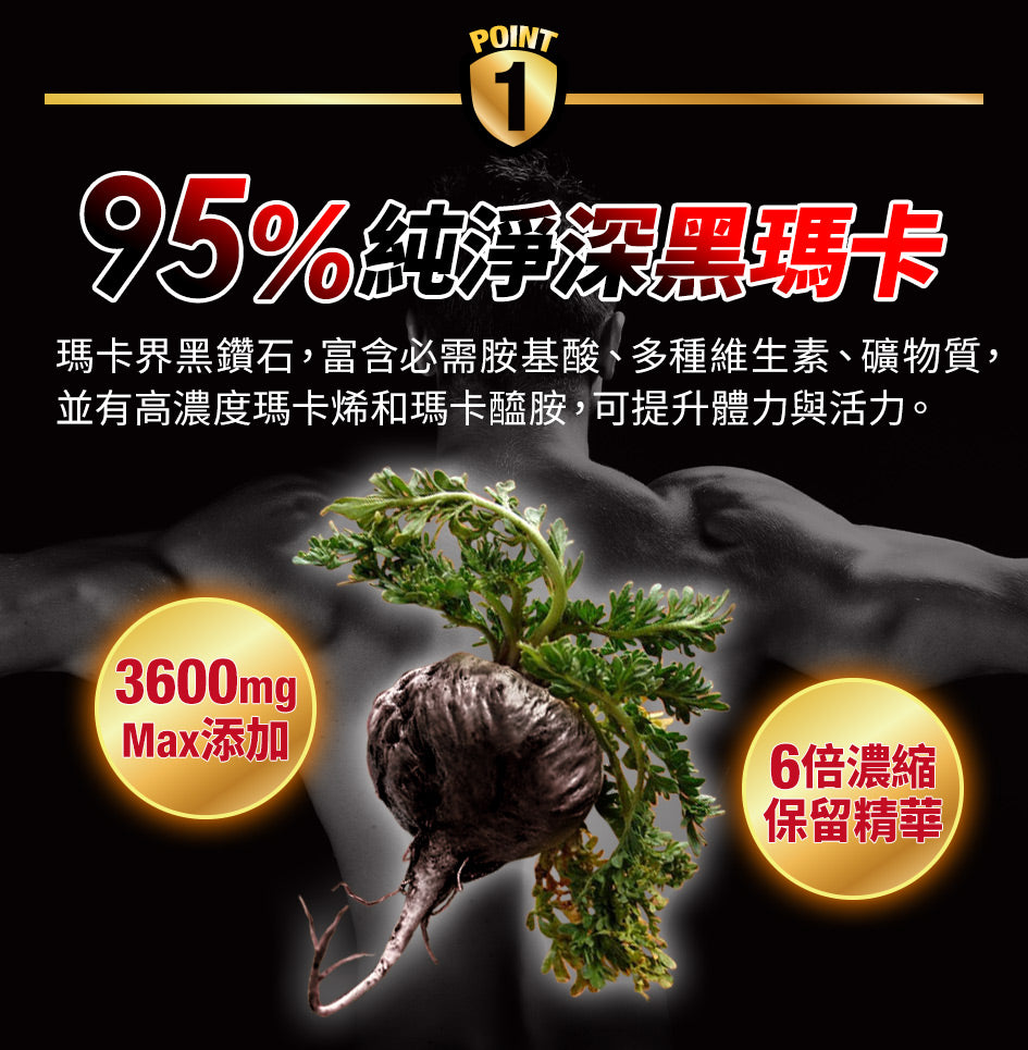 船井6X活力瑪卡王EX40顆入