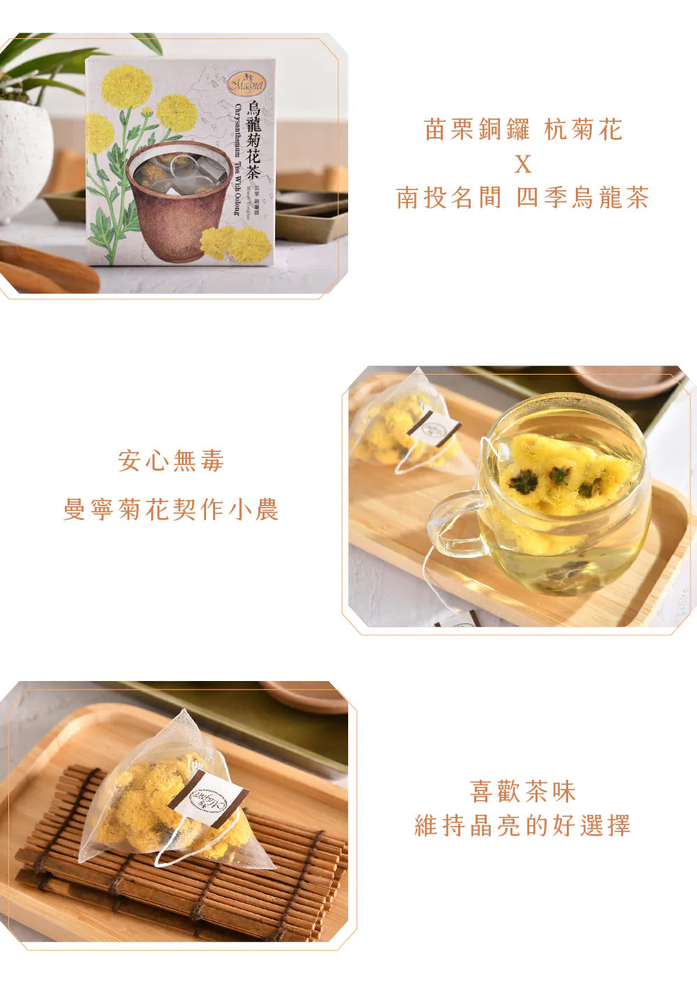 Magnet Chrysanthemum Tea with Oolong - 1.5g x 15 pack