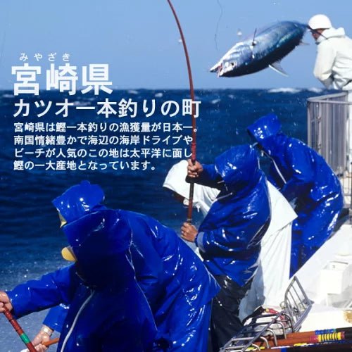 KATSUO BAR (Bonito Snack Bar) - 40g