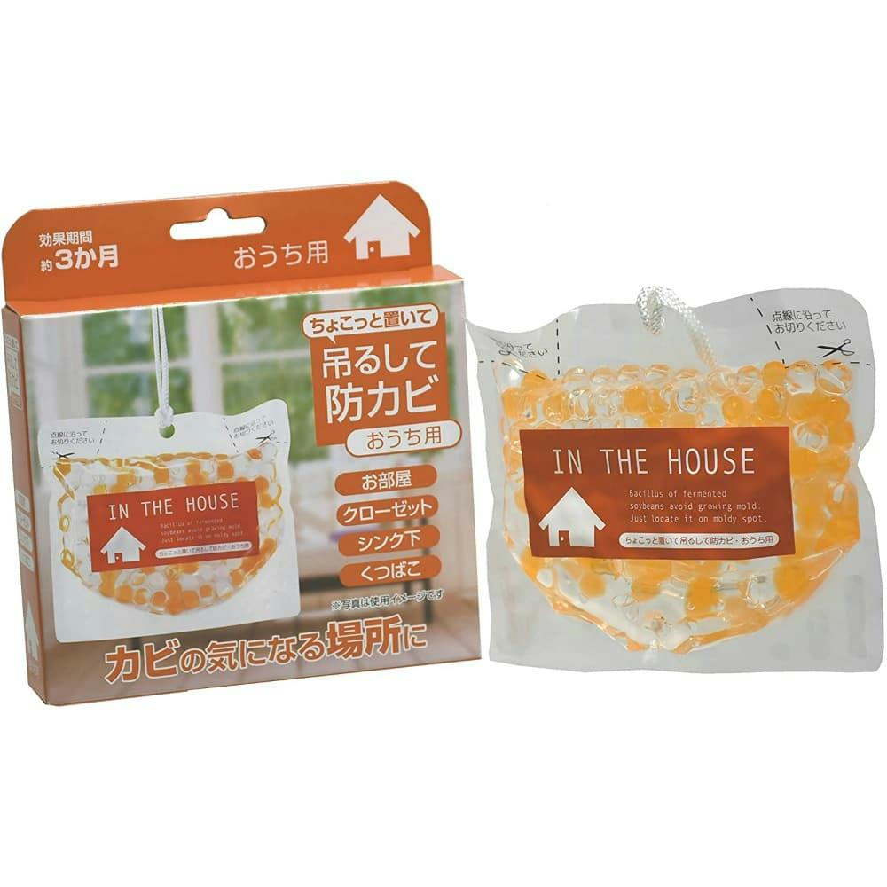 Big Bio Place & Hang Anti-Mold Bio Treatment - Home