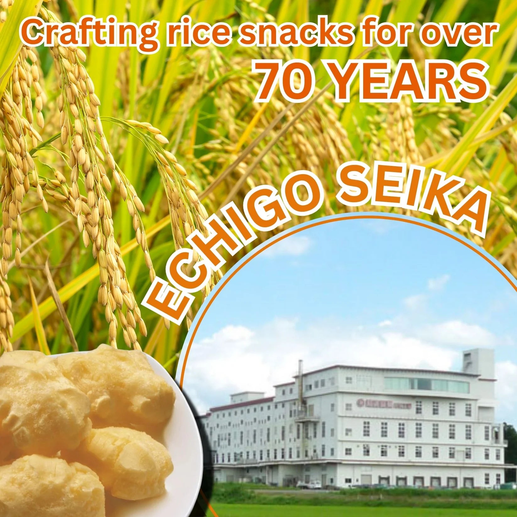 Echigo Senka Cheese Flavored Rice Puff Snacks - 66g