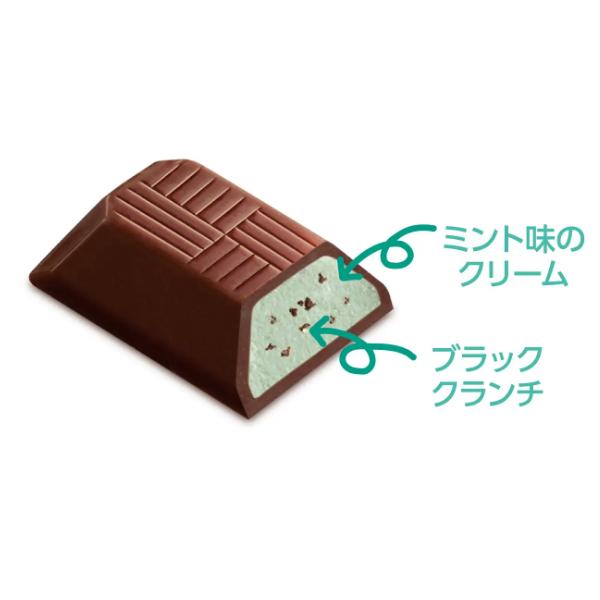 Fujiya Baskin-Robbins Chocolate Chocolate Mint Flavor - 42g