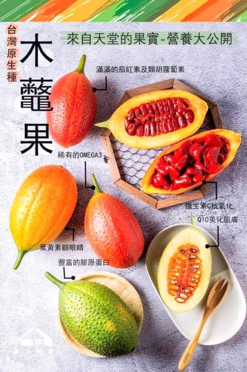 kuai-kuai-rice-puffs-gac-fruit-cantaloupe-52g
