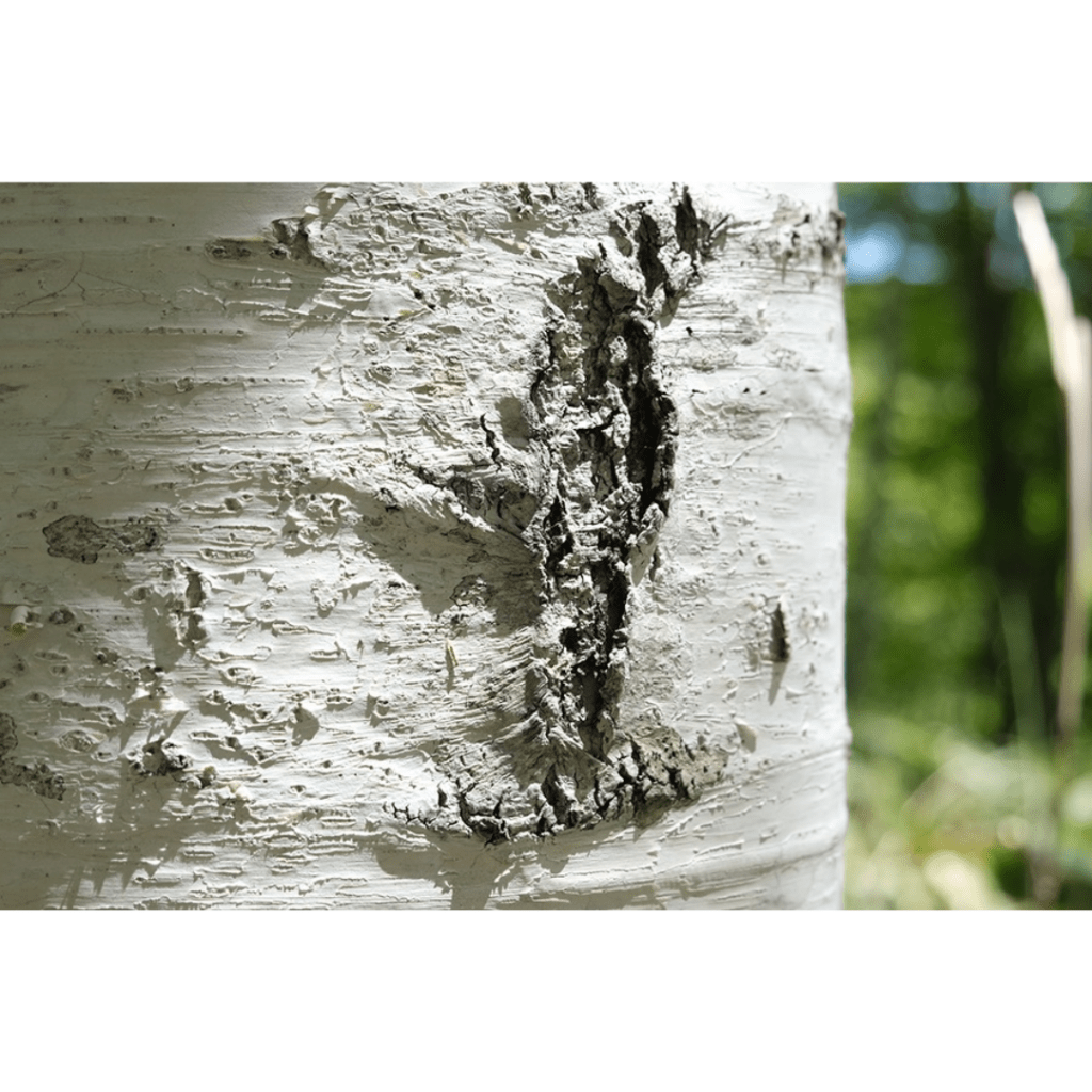 SIRACA Lotion - 100ml