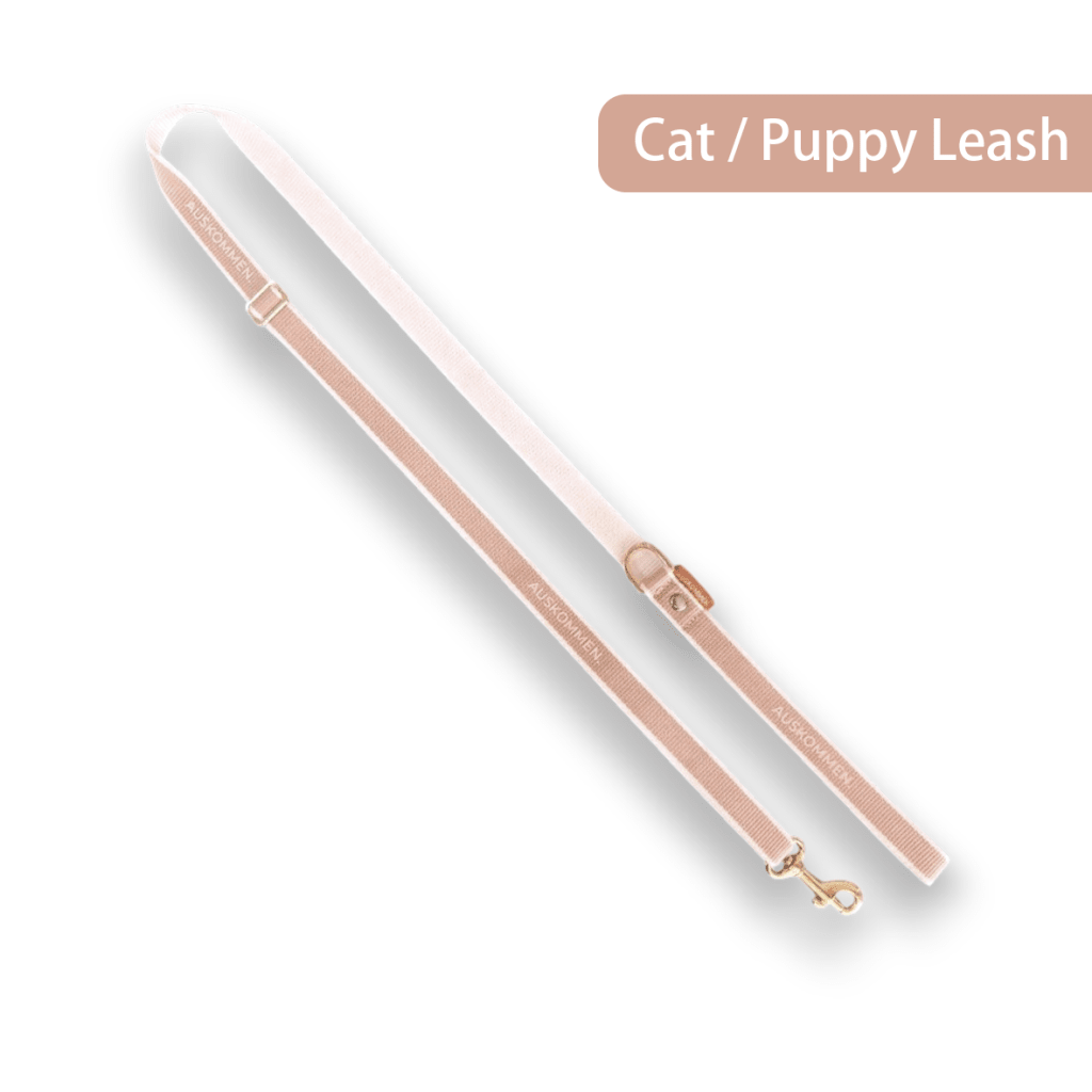 Auskommen Leash (Cat / Puppy) - ding-go