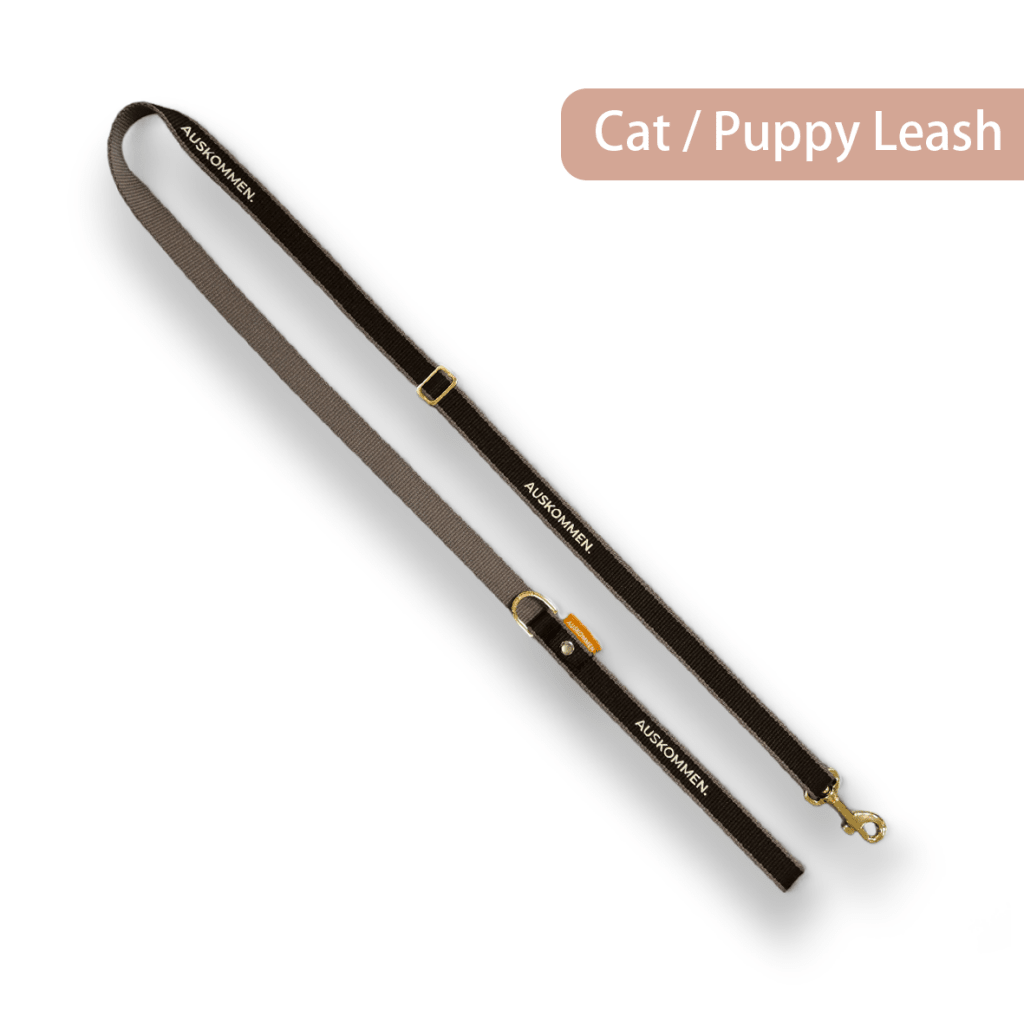 Auskommen Leash (Cat / Puppy) - ding-go
