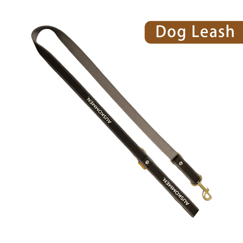 Auskommen Leash - ding-go