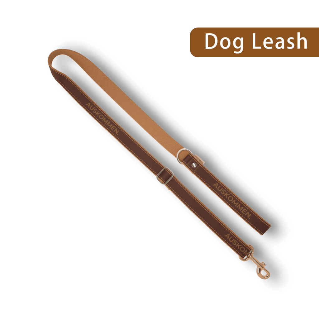 Auskommen Leash - ding-go