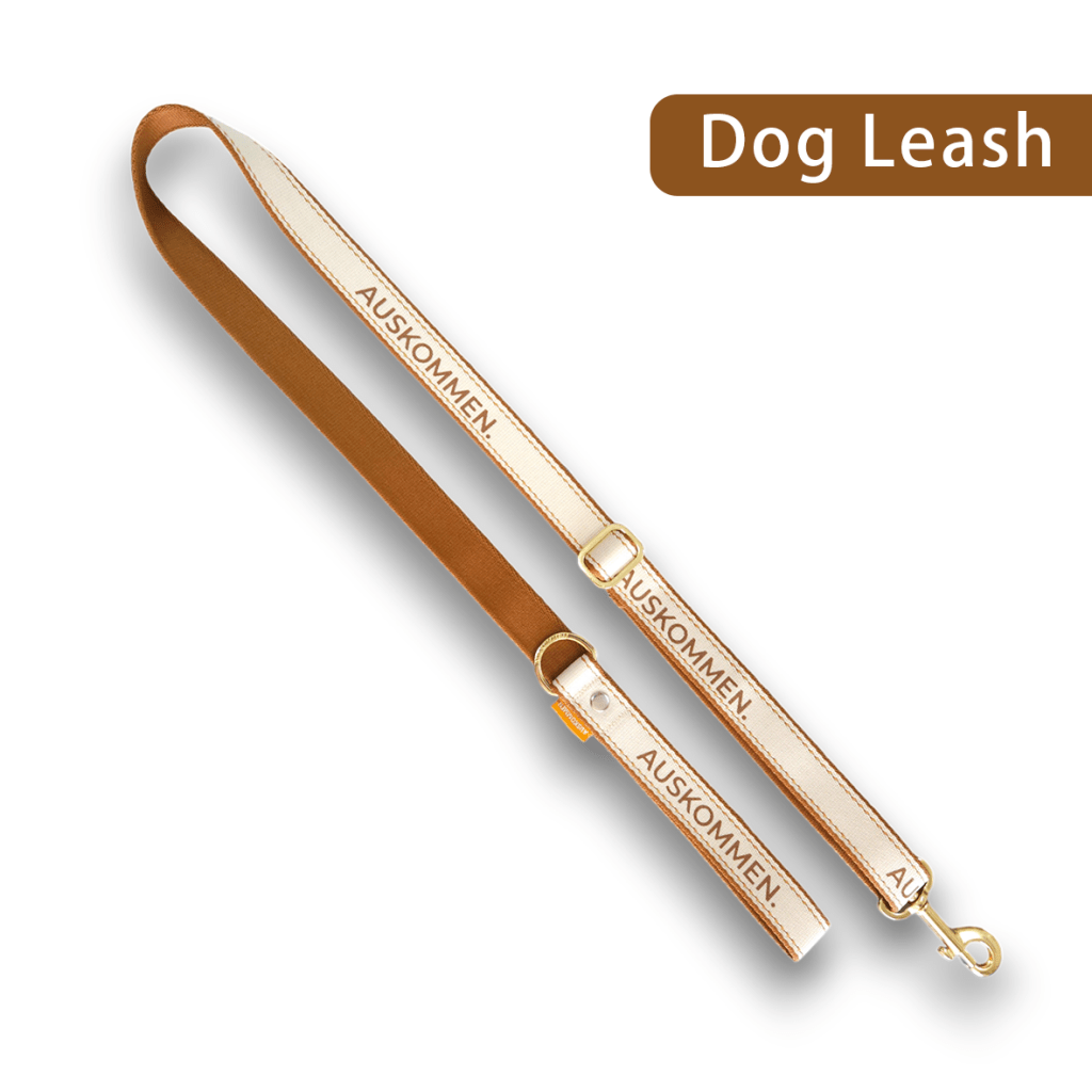 Auskommen Leash - ding-go