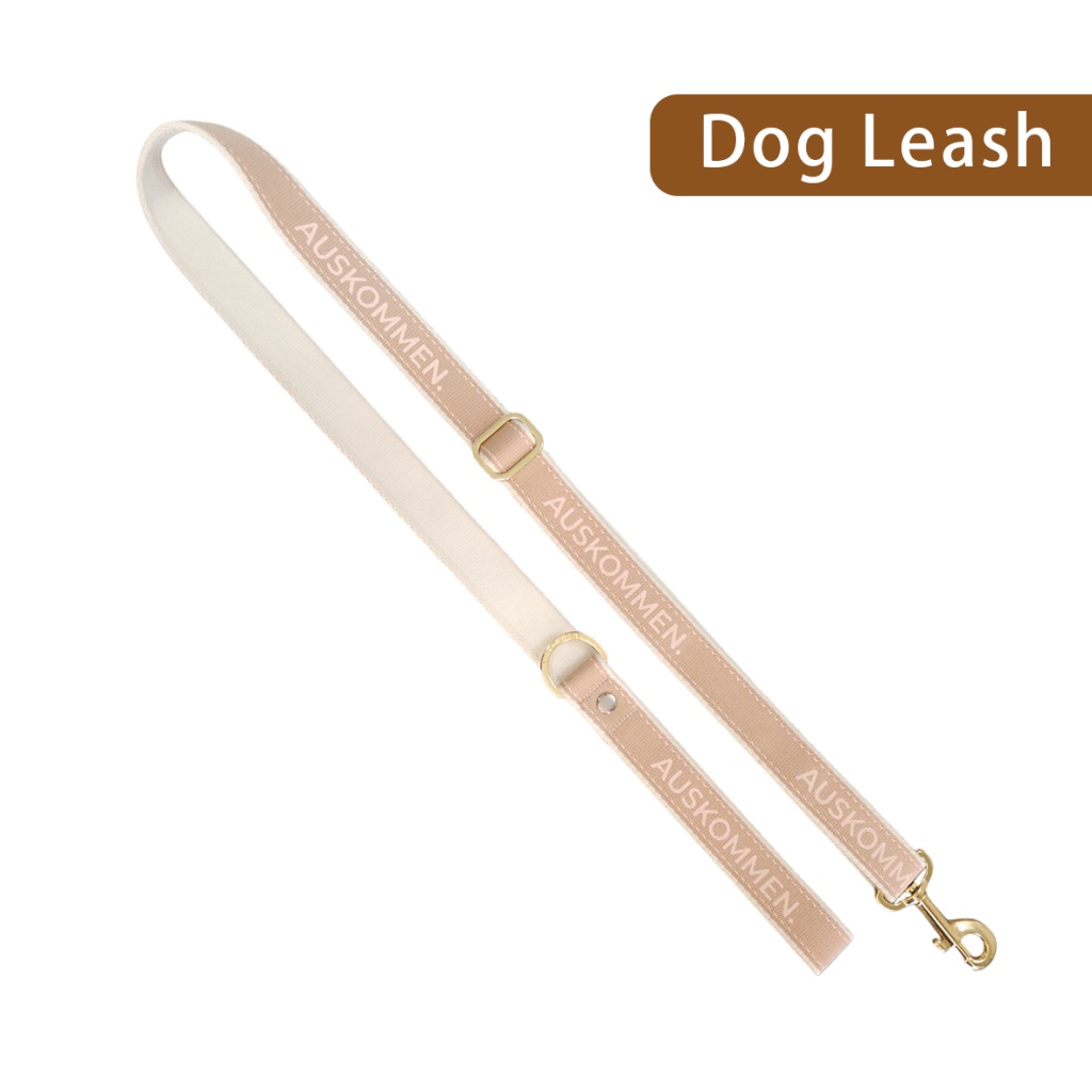 Auskommen Leash - ding-go
