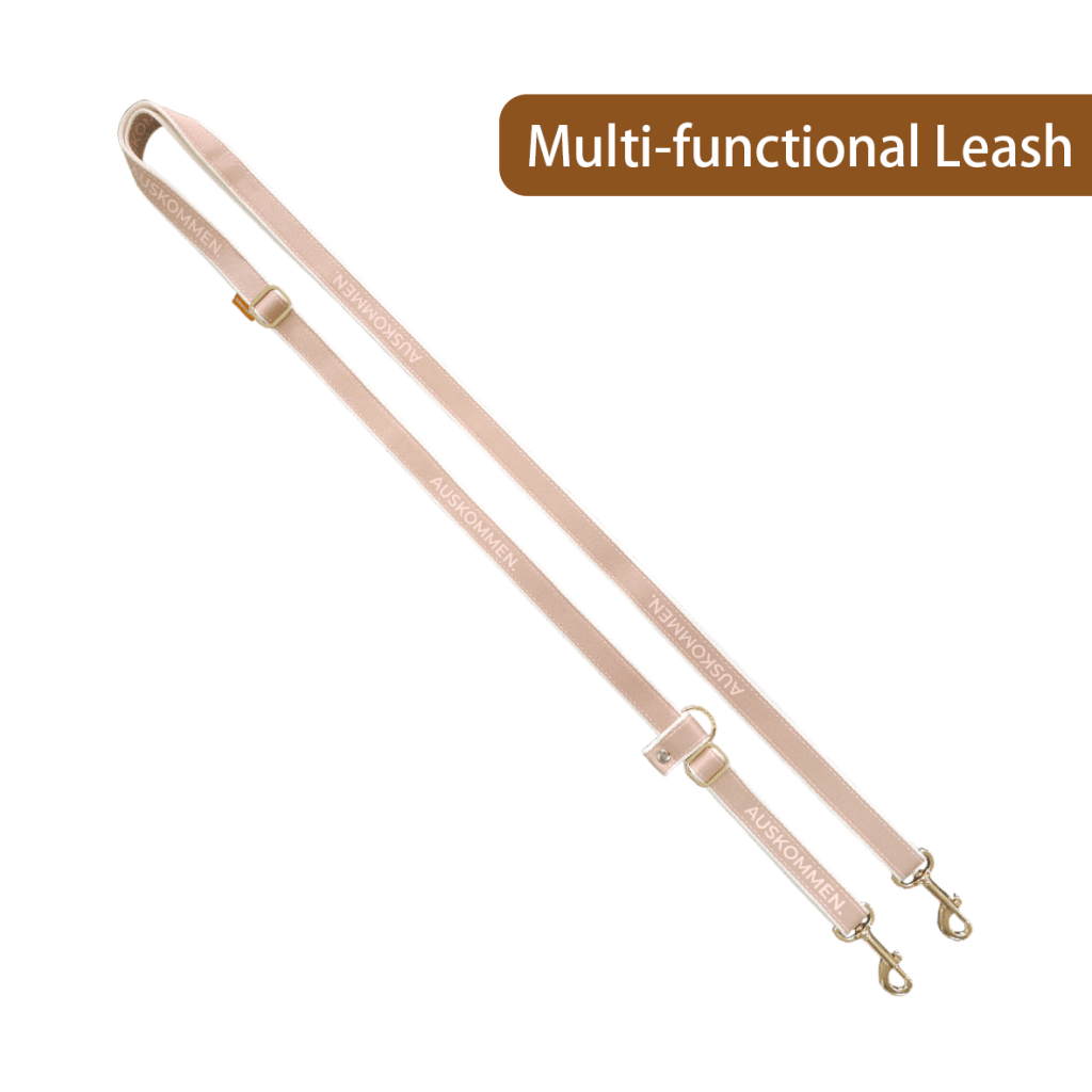 AUSKOMMEN Transform leash - ding-go