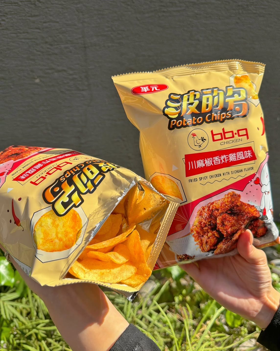 Hua Yuan bb.q Sichuan Pepper Fried Chicken Flavor Potato Chips - 52g