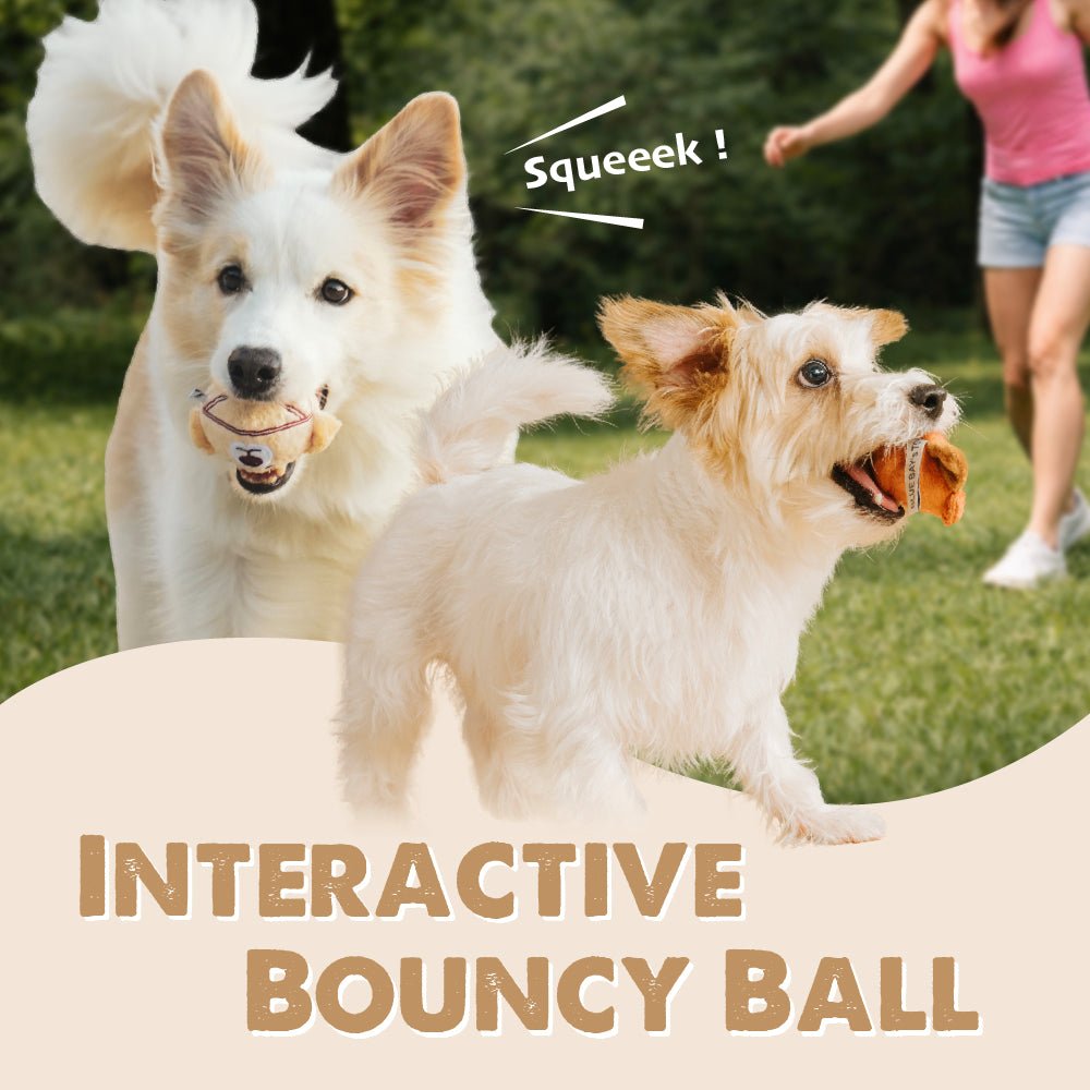 BLUE BAY 2 PCS Plush Squeaky Dog Toy Ball - ding-go