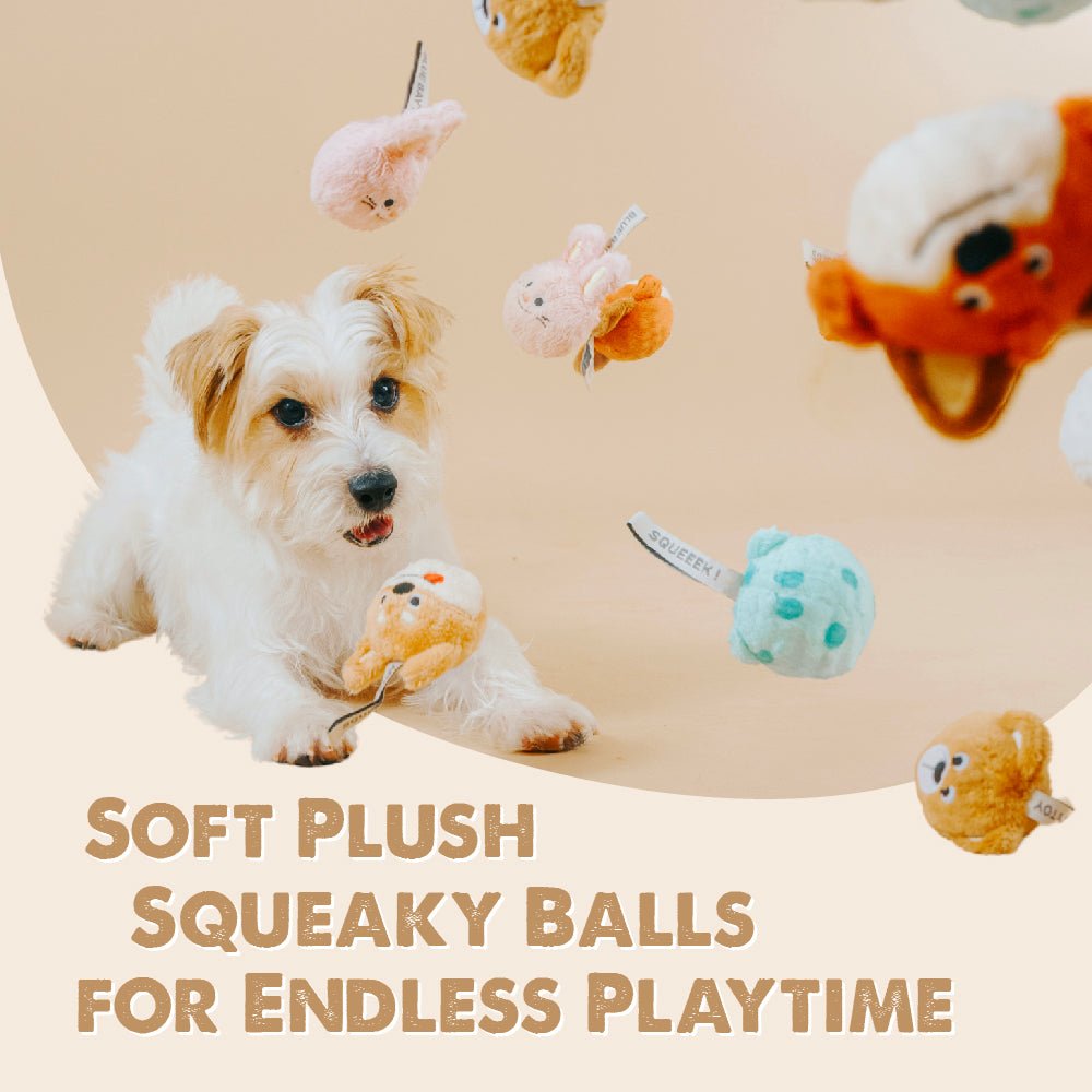 BLUE BAY 2 PCS Plush Squeaky Dog Toy Ball - ding-go