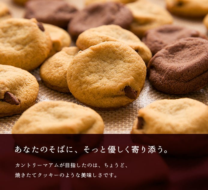 Fujiya Country Ma'am Vanilla & Cocoa - 10g x 18 Pack - ding - go