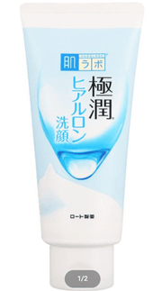 HADA LABO Gokujyun Hyaluronic Face Cleansing Foam - 100g - ding - go