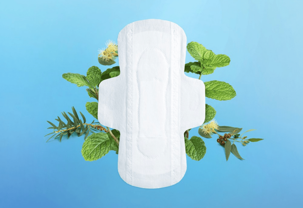 ICON Cool Feeling Sanitary Pads Day Use 24cm Value Pack - 15 Pads - ding-go
