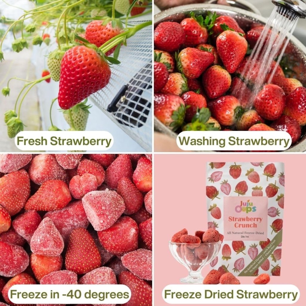 Juju Oops Mix Freeze Dried Whole Strawberries 226g, additional package view 3