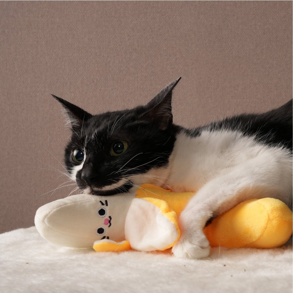 MUNCHEE Catnip-Filled Banana Toy - ding-go