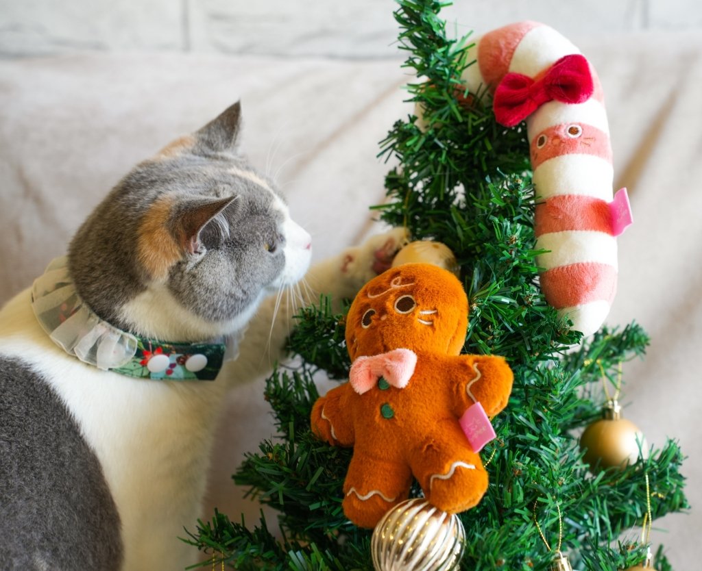 MUNCHEE Catnip-Filled Toy - ding-go