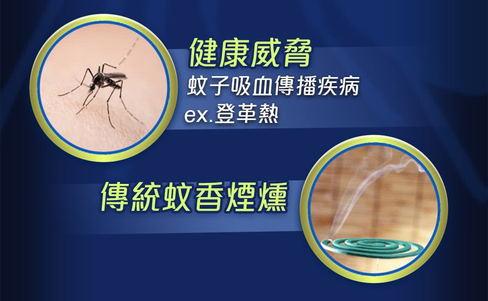 Raid Electric Mosquito Repellent Refill - ding-go