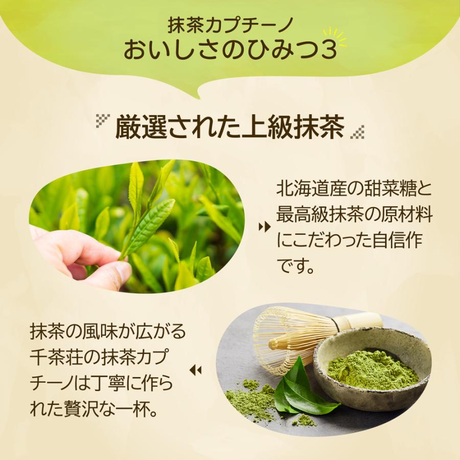 Matcha Cappuccino - 110g