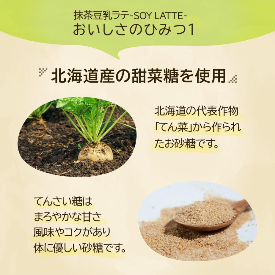 Matcha Soy Latte - 110g