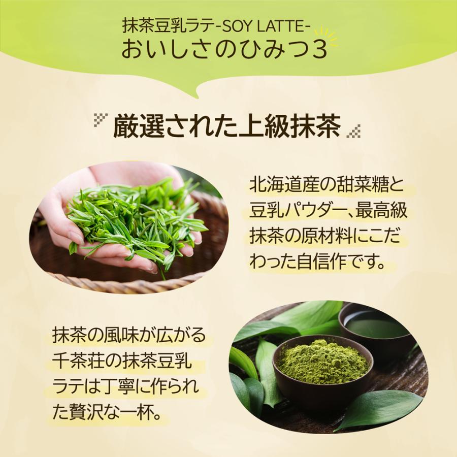 Matcha Soy Latte - 110g