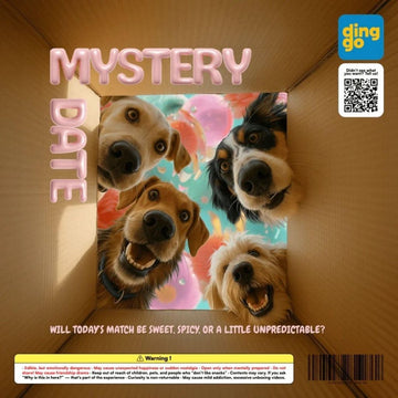【Subscription Box】Mystery Date - ding - go