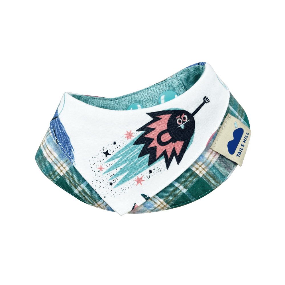 TAILS HILL Alien Pet Scarf - ding-go