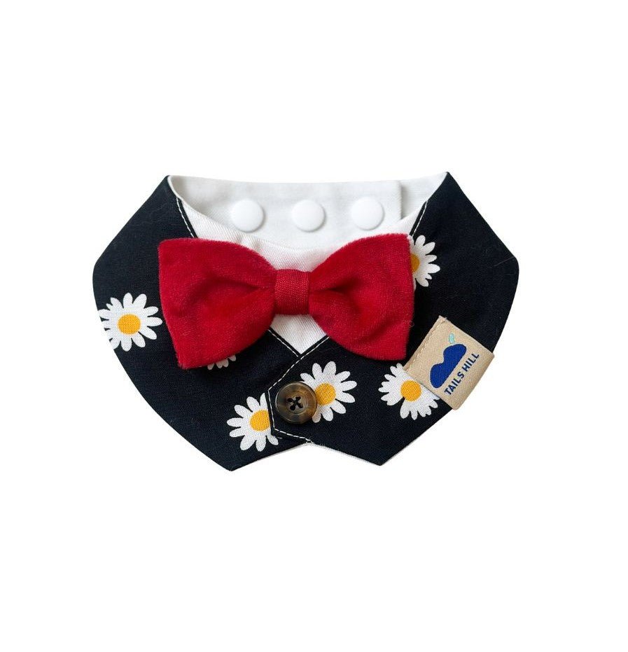 TAILS HILL Daisy Bow Pet Scarf - ding-go