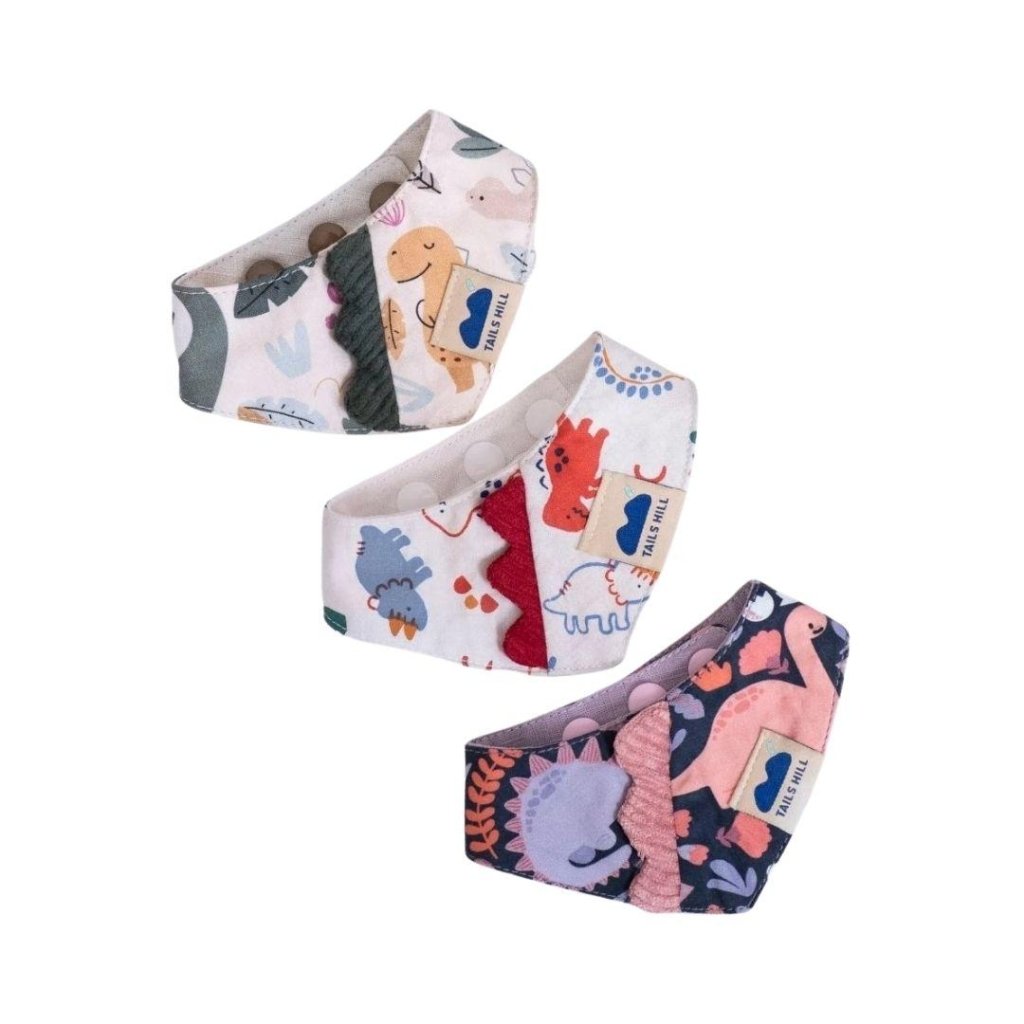 TAILS HILL Dinosaur Pet Scarf - ding-go