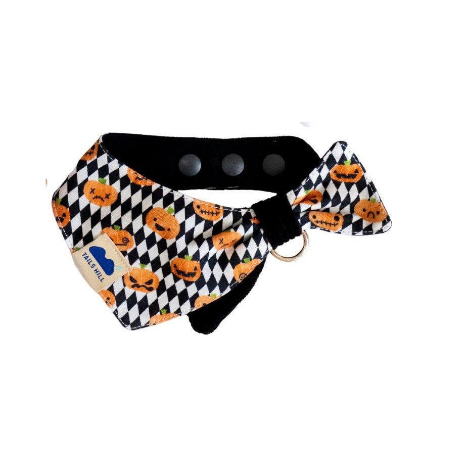 TAILS HILL Halloween Dual-Wear Pet Scarf - ding-go