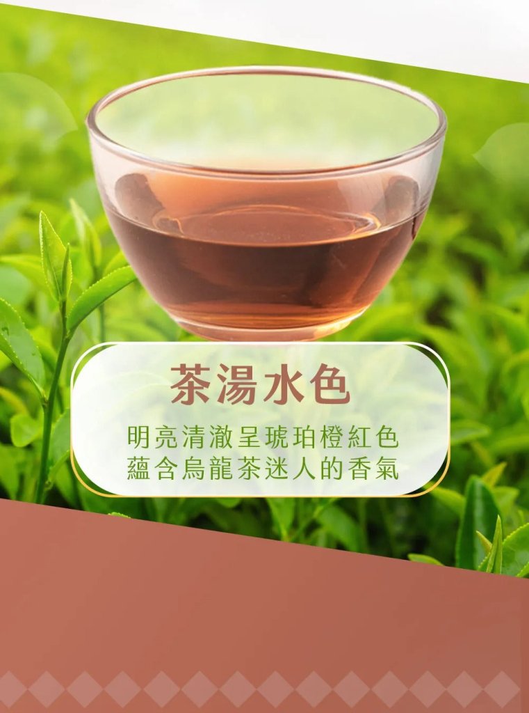 Taitung Limited Red Oolong Tea, Unsweetened 490ml, additional package view 7