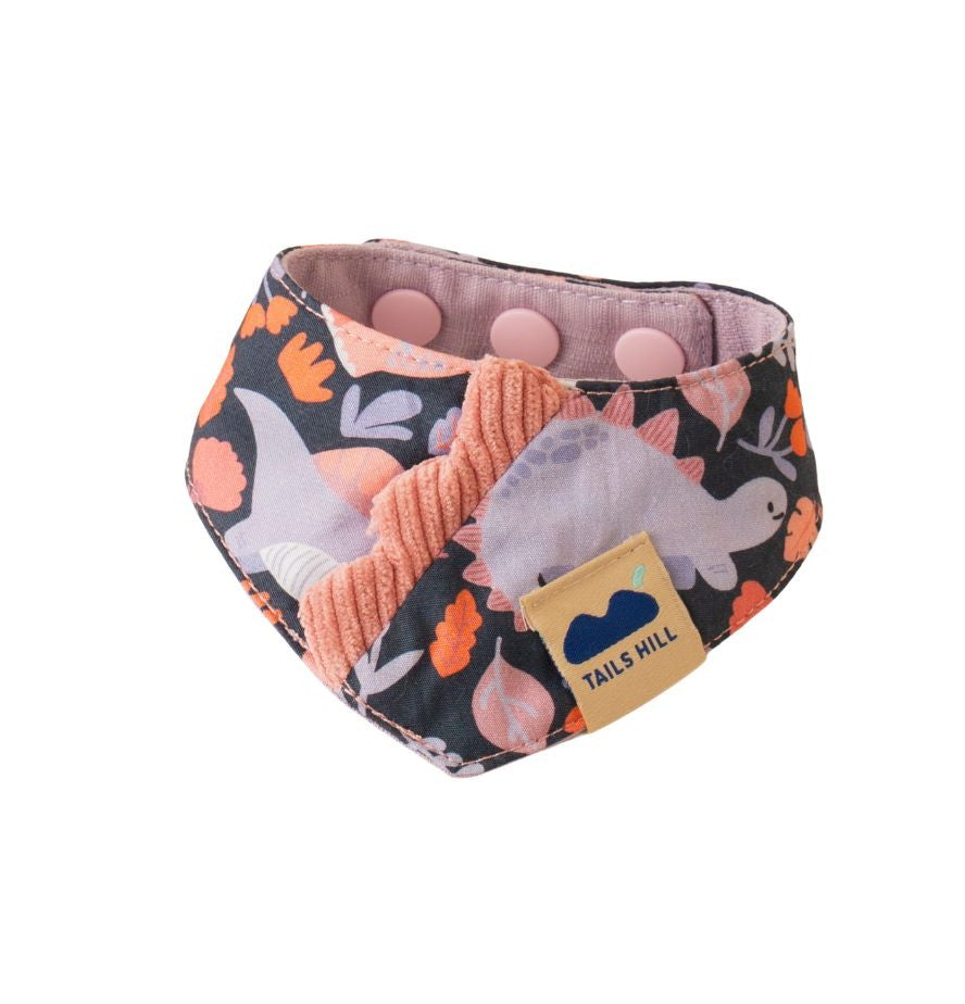 TAILS HILL Dinosaur Pet Scarf