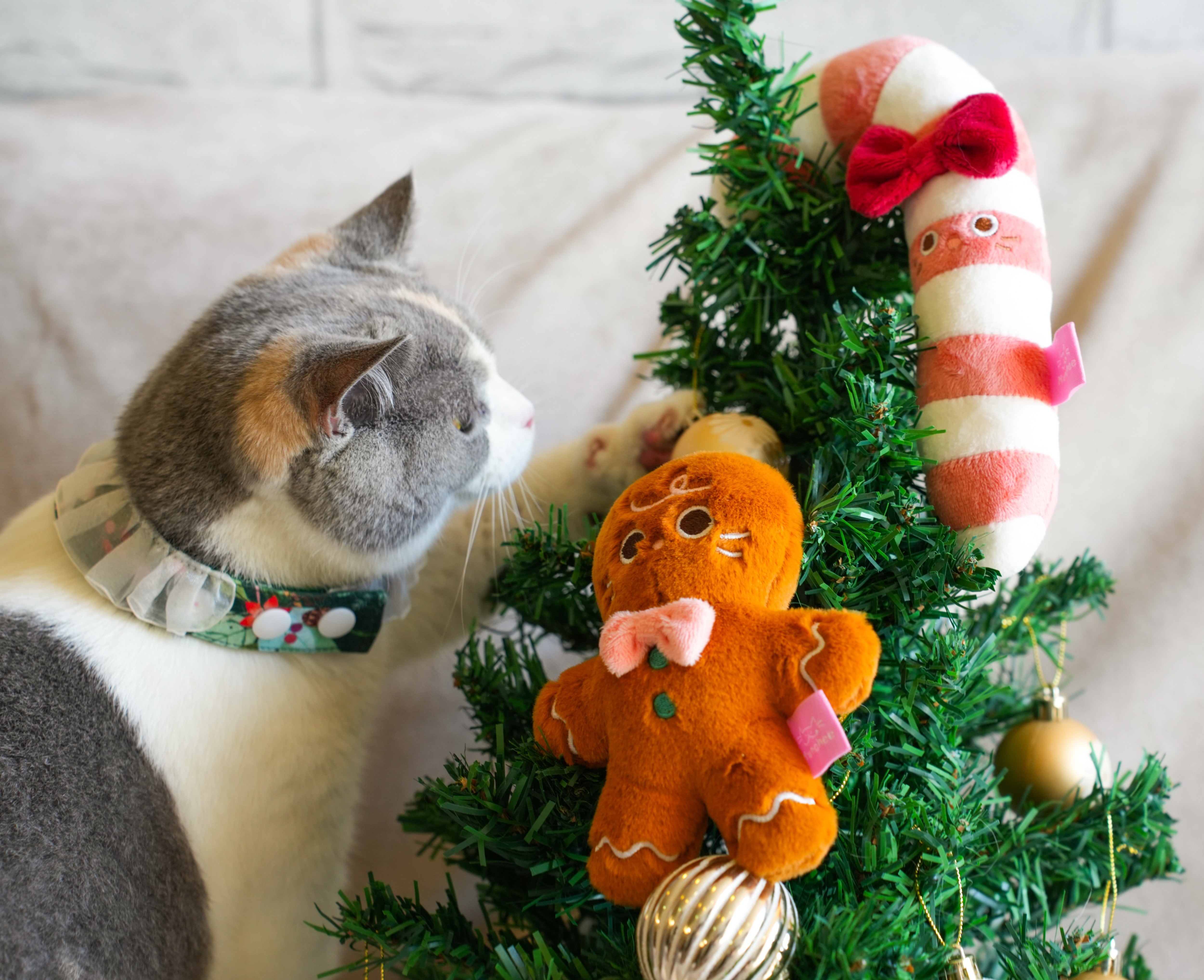 MUNCHEE Catnip-Filled Toy
